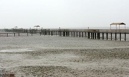 《宝可梦 TCG Pocket》官方发布更新计划 2025年1月推出交换卡牌功能